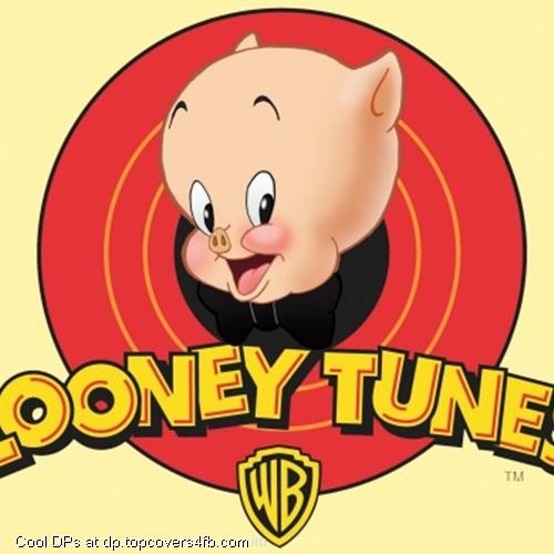 Looney-Tunes-Porky-Display-Picture