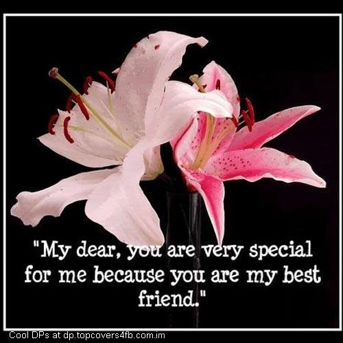 Catcy-Flowers-For-Special-Friend-Display-Picture