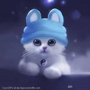 Cute-White-Hat-Cat-Display-Picture
