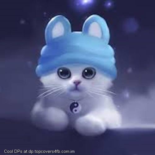 Cute-White-Hat-Cat-Display-Picture