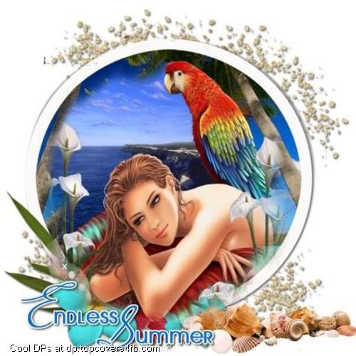 Endless-Summer-Display-Picture