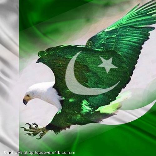 Independence-Day-Bird-Display-Picture