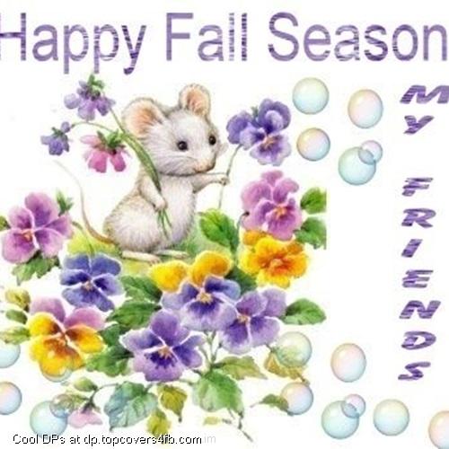 Mouse-With-Flowers-And-Bubbles-Display-Picture