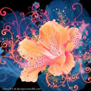 Orange-Illiustion-Flower-Display-Picture