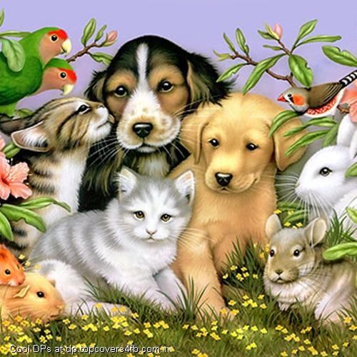 Pet-Painting-Display-Picture