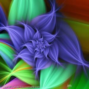 Visuvalition-Of-Flower-Display-Picture