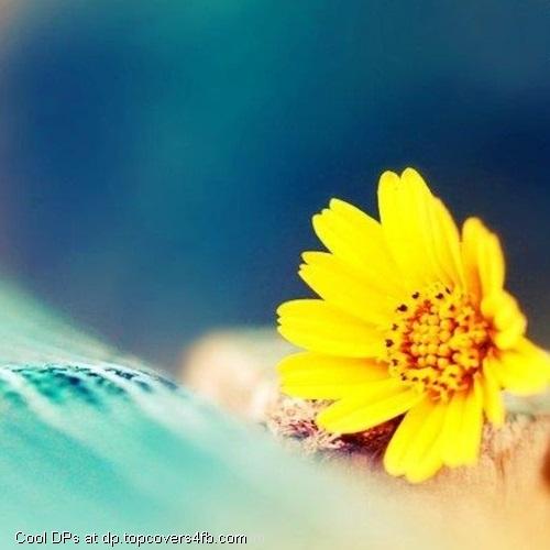 Abstract-Yellow-Display-Picture