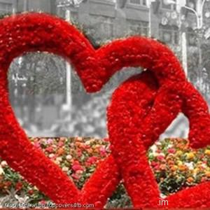 Connected-Red-Hearts-Display-Picture