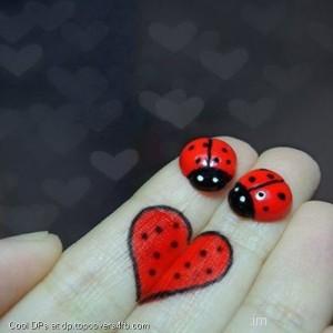 Fingers-Bug-Heart-Display-Picture