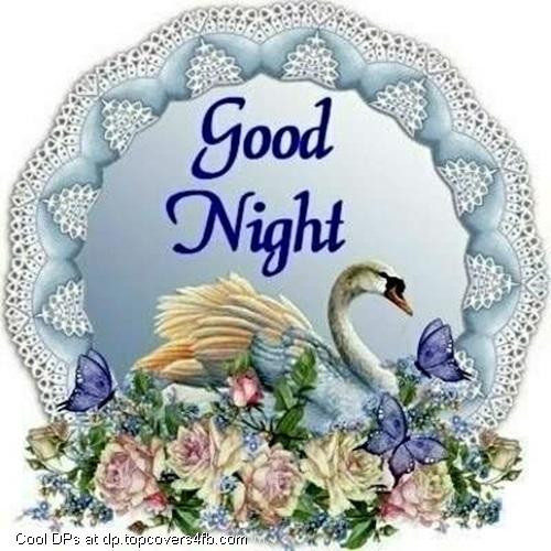 Good-Night-Wishes-Swan-Display-Picture