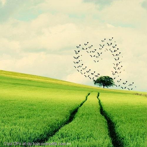 Hearts-Of-Nature-Display-Picture