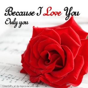 Lovely-Beautiful-Flower-Display-Picture