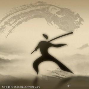 Martial-Arts-Display-Picture