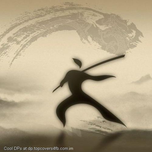 Martial-Arts-Display-Picture