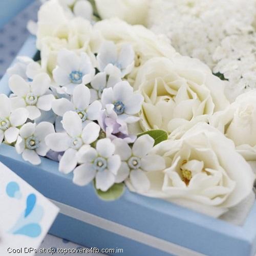 Pure-White-Display-Picture