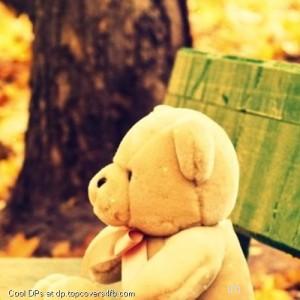 Sad-Alone-Teddy-Bear-Display-Picture