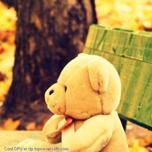 Sad-Alone-Teddy-Bear-Display-Picture