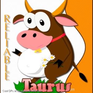Taurus-Reliable-Cow-Display-Picture