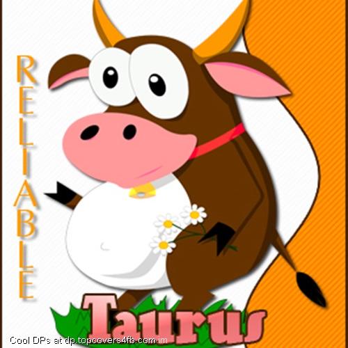 Taurus-Reliable-Cow-Display-Picture