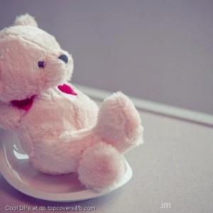 A-cute-Teddy-Alone-Display-Picture