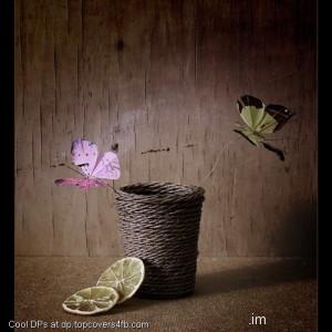 Abstract-Butterfly-Art-Display-Picture