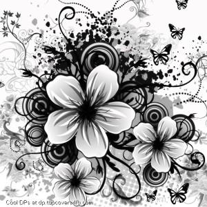 Abstract-White-Flower-Display-Picture