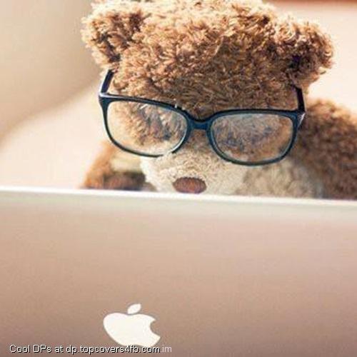 Apple-Teddy-Display-Picture