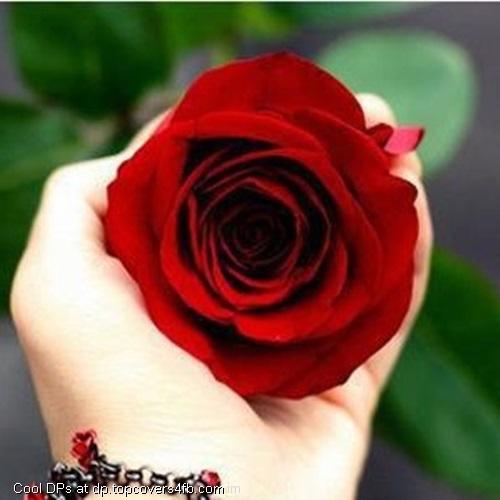 Beautiful-Flowers-Heart-Display-Picture