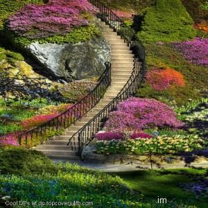 Beautiful-Garden-Passage-Display-Picture