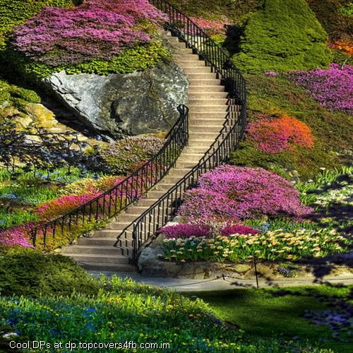 Beautiful-Garden-Passage-Display-Picture