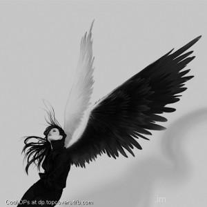 Black-And-White-Angel-Display-Picture