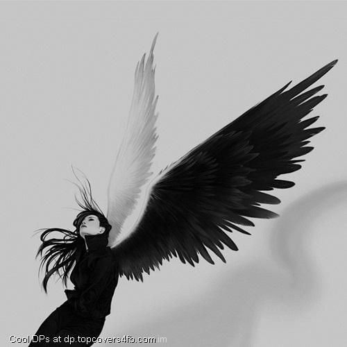 Black-And-White-Angel-Display-Picture