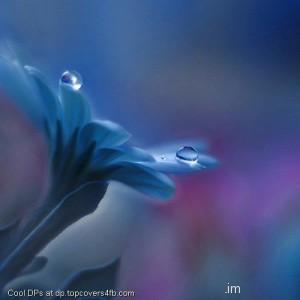 Blue-Water-Drops-Display-Picture