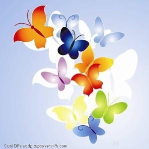 Butterfly-Art-Display-Picture