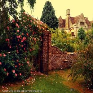 Castle-View-Display-Picture