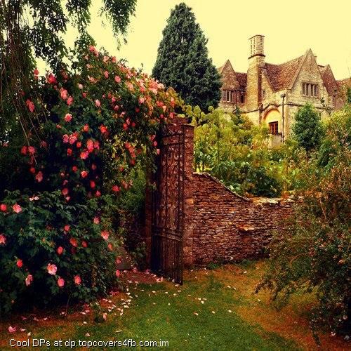 Castle-View-Display-Picture