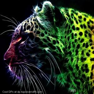 Colorful-Cheetah-Display-Picture