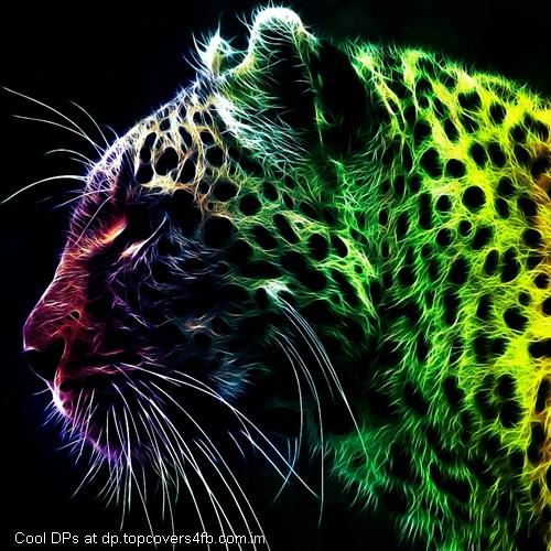 Colorful-Cheetah-Display-Picture
