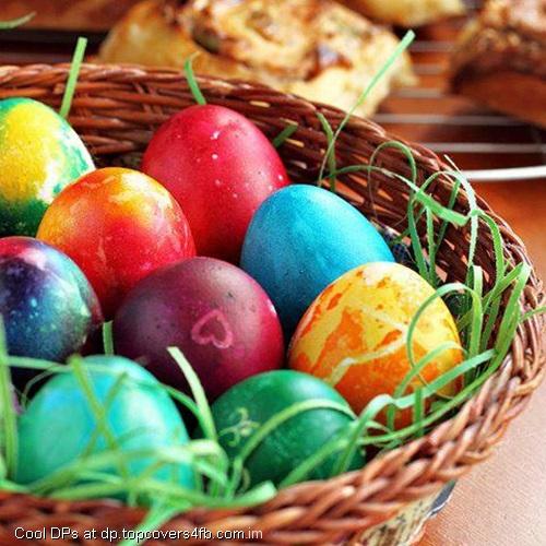 Colorful-Eggs-Display-Picture - Copy