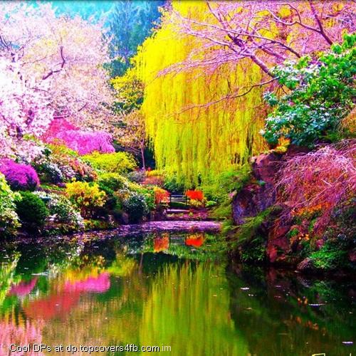 Colorful-Natural-Scenery-Display-Picture
