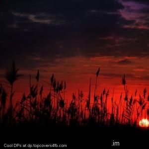 Dark-Sunset-Display-Picture