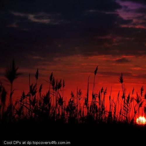 Dark-Sunset-Display-Picture