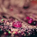 Glittery-Drops-Display-Picture