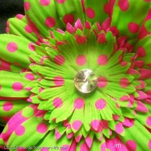 Pink-And-Green-Flower-Display-Picture