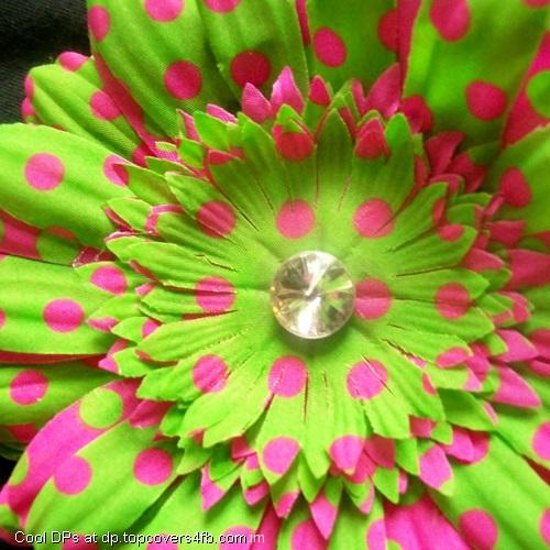 Pink-And-Green-Flower-Display-Picture