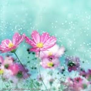 Pink-Flower-Shower-Display-Picture
