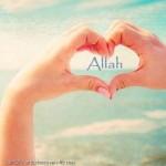 ALLAH-Display-Picture