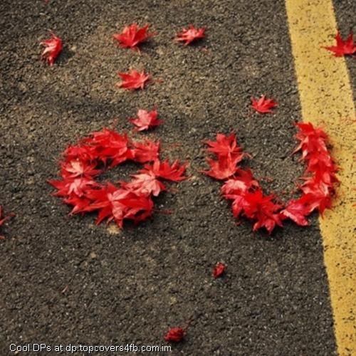 Autumn-Love-Leaves-Display-Picture