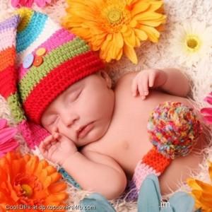 Baby-Sleeping-Gerbera-Flowers-Display-Picture