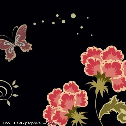 Carnation-Flowers-And-Butterfly-Display-Picture